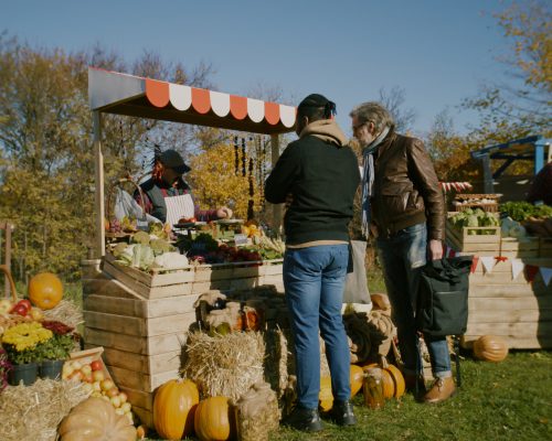 People shopping on urban farmers market, choose fresh products, cares about health and spending day off by buys proper nutrition. Autumn fair outdoors. Agriculture.